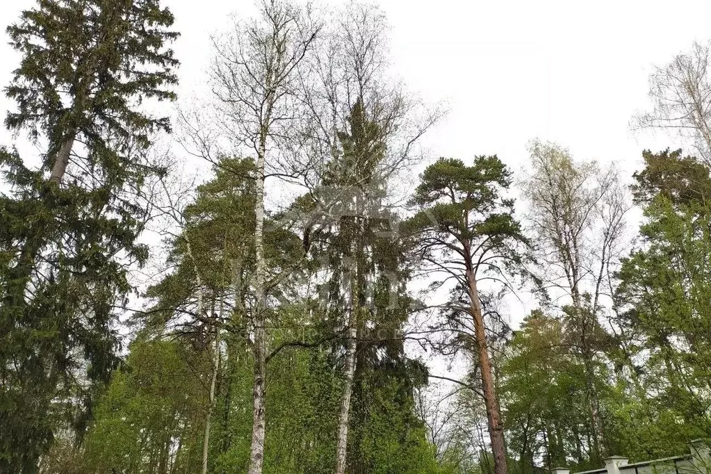 Участок в Московская область, Красногорск городской округ, д. ... - Фото 2