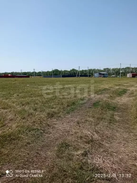 Участок в Мордовия, Лямбирский район, Пензятское с/пос, с. Пензятка ... - Фото 2