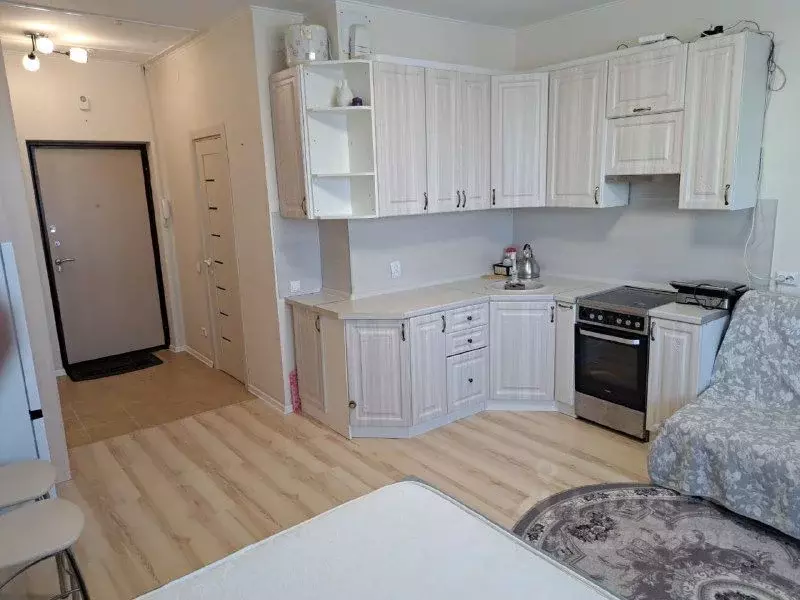 Студия Московская область, Люберцы городской округ, Мирный пгт ул. ... - Фото 2