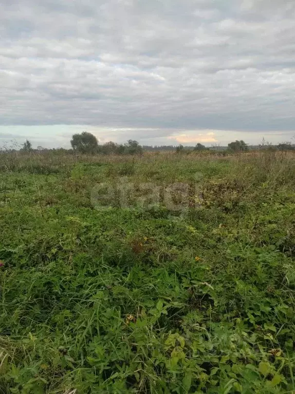 Участок в Псковская область, Порховский муниципальный округ, д. ... - Фото 1