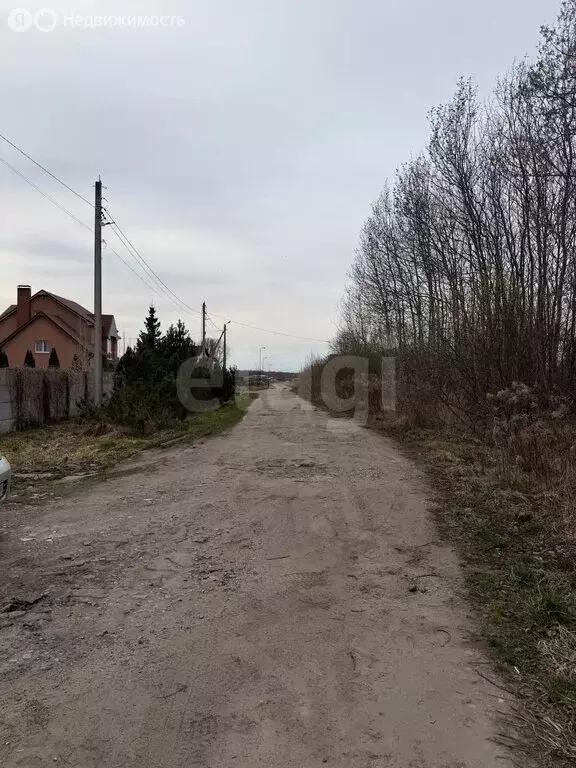 Участок в Калининградская область, Гурьевский муниципальный округ, ... - Фото 1