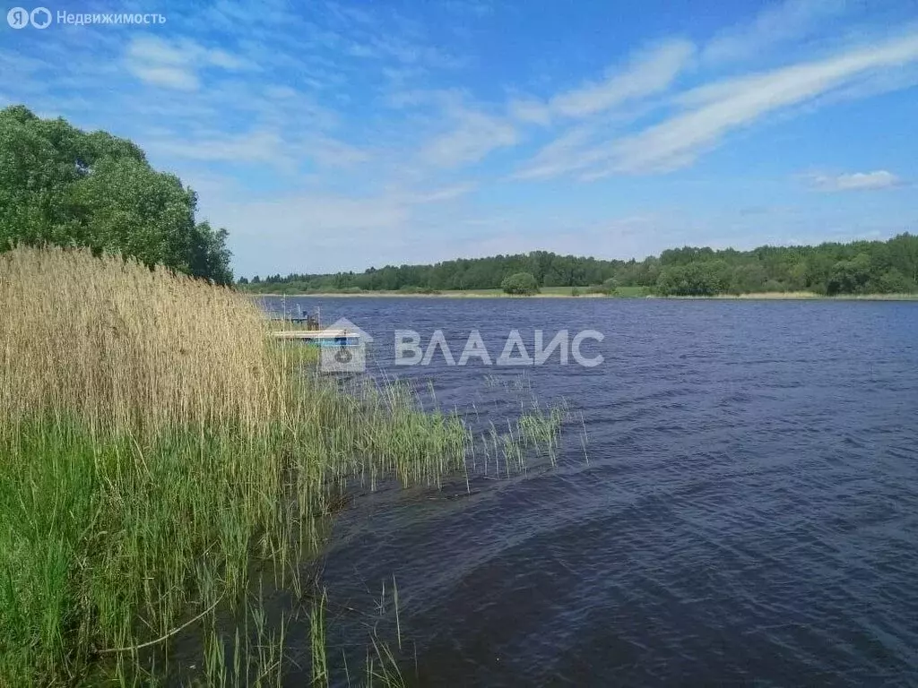 Участок в Тверская область, Кимрский муниципальный округ, деревня ... - Фото 0
