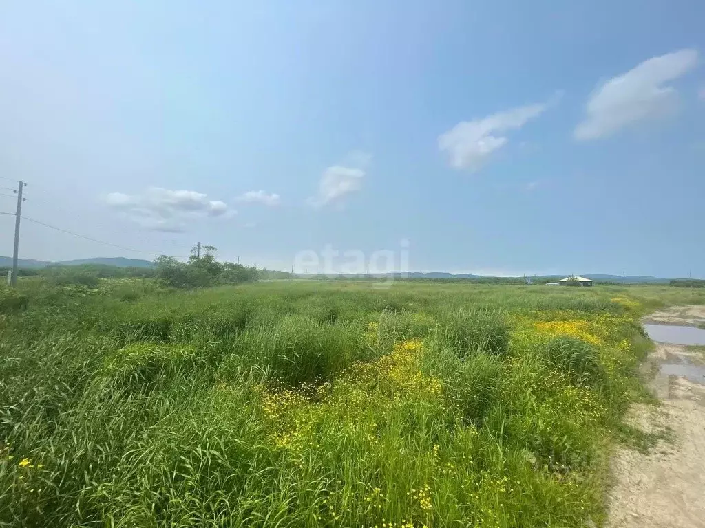 Участок в Сахалинская область, Долинский городской округ, с. Сокол ул. ... - Фото 0