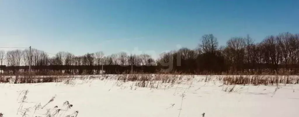 Участок в Свердловская область, Нижний Тагил Елочка-2 СНТ,  (6.0 сот.) - Фото 1