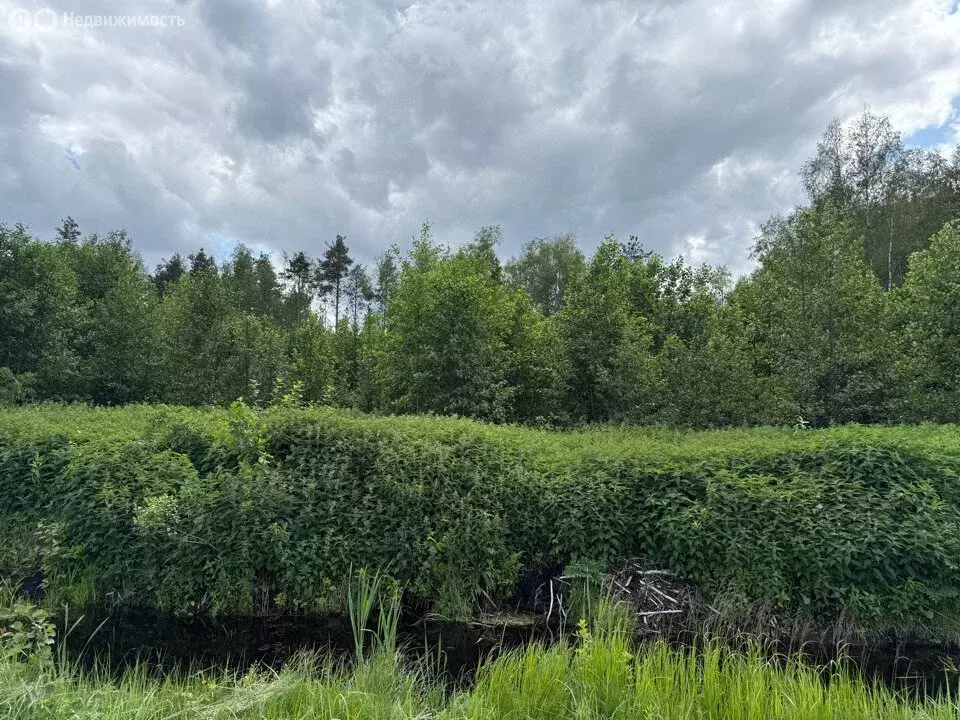 Участок в Валдай, Лесхозная улица (15 м) - Фото 1