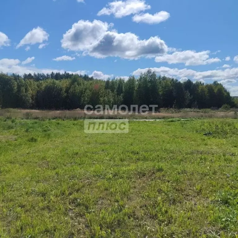 Участок в Татарстан, Высокогорский район, д. Чернышевка Лесная ул. ... - Фото 2