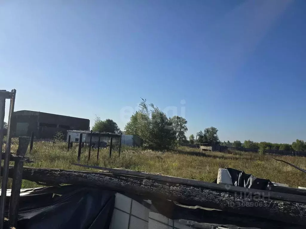 Участок в Брянская область, Карачевское городское поселение, д. Мокрое ... - Фото 1