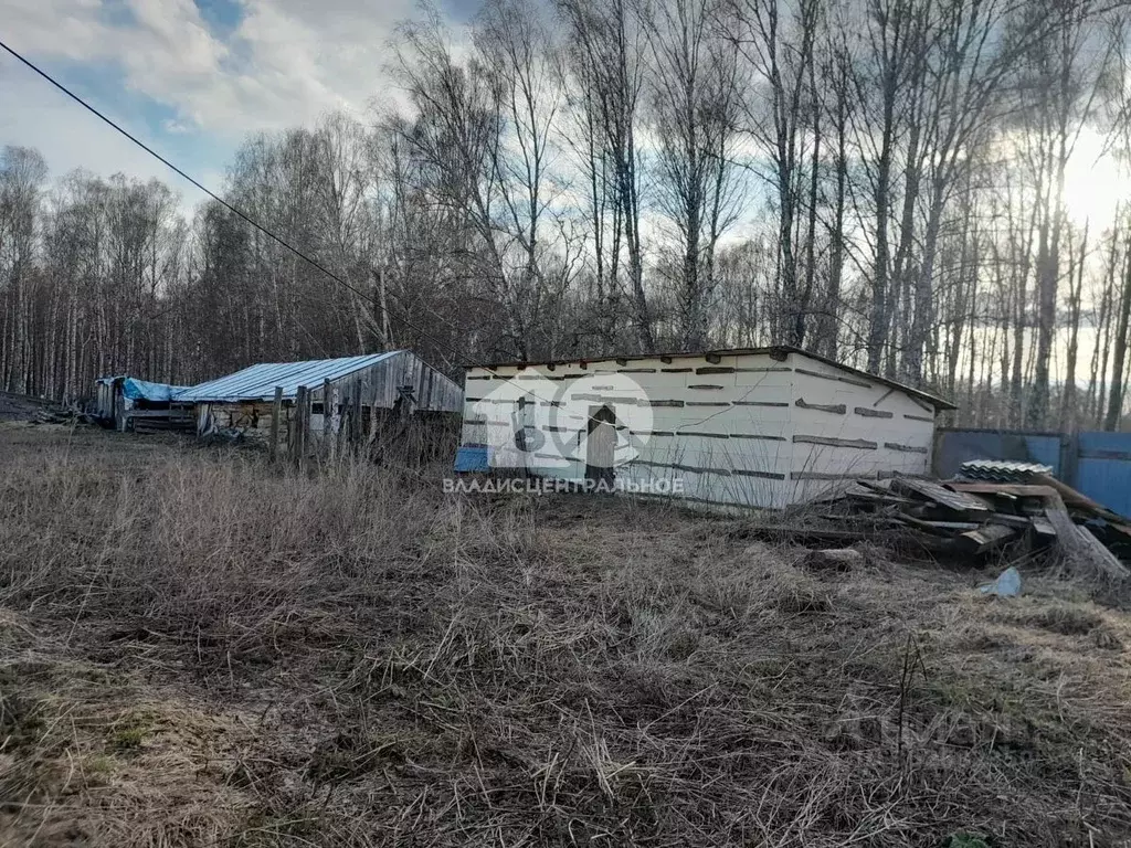 Дом в Новосибирская область, Тогучинский район, с. Лебедево ул. Лесная ... - Фото 1