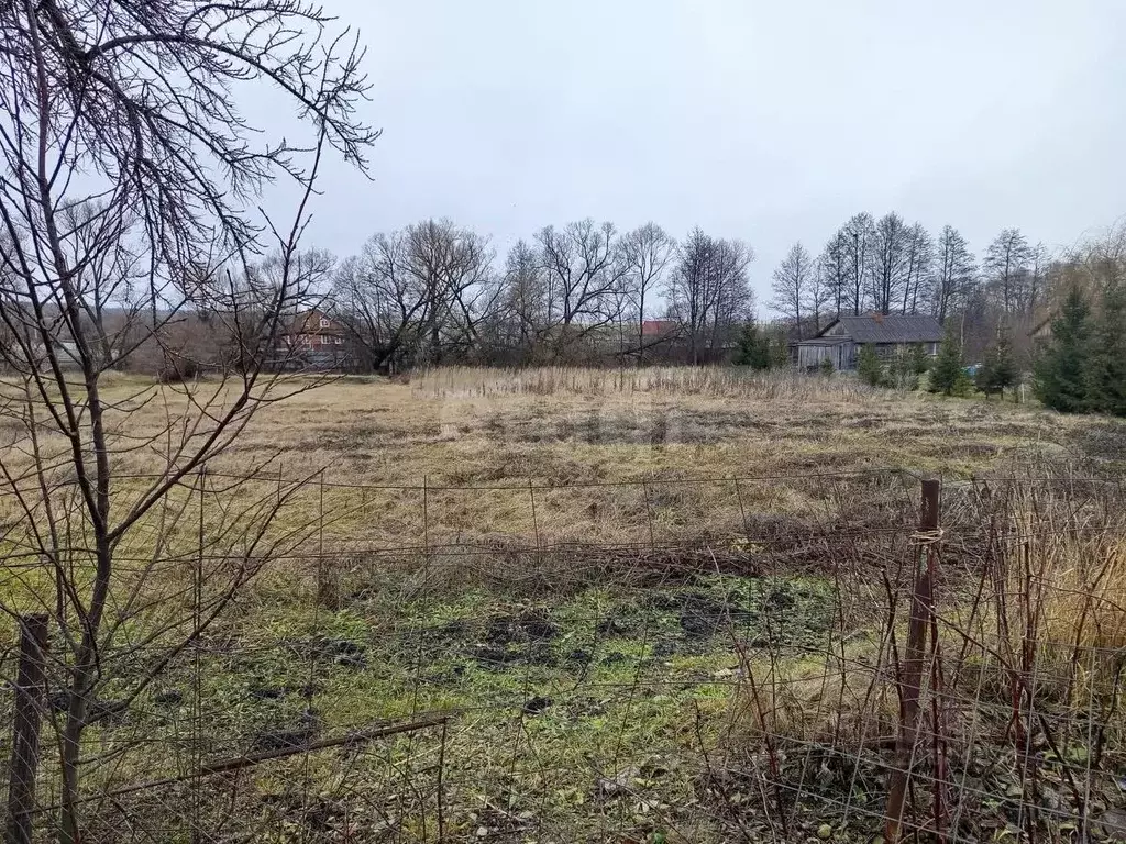 Участок в Мордовия, Большеберезниковский район, с. Пермиси Садовая ул. ... - Фото 1