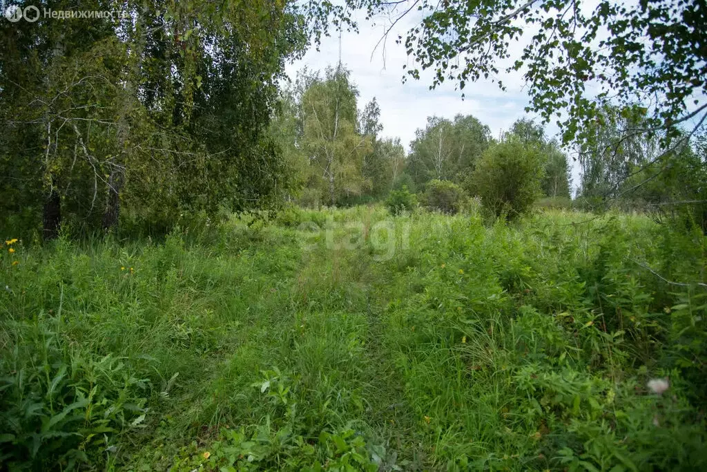 Участок в Новосибирск, Октябрьский район, микрорайон Зелёный Бор (12 ... - Фото 1