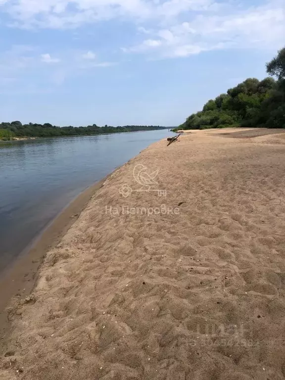 Участок в Тульская область, Ясногорский район, Иваньковское ... - Фото 0