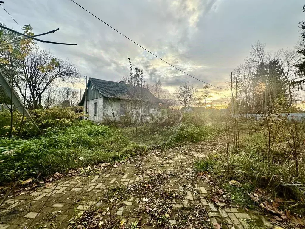 Дом в Калининградская область, Зеленоградский муниципальный округ, ... - Фото 1