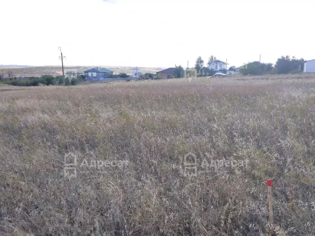 Участок в Волгоградская область, Городищенский район, Царицынское ... - Фото 1
