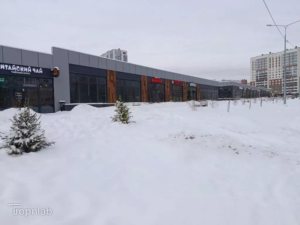 Помещение свободного назначения в Алтайский край, Барнаул ул. 65 лет ... - Фото 1