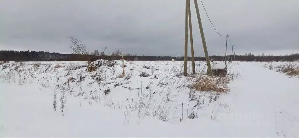 Участок в Вологодская область, Шекснинский муниципальный округ, д. ... - Фото 1