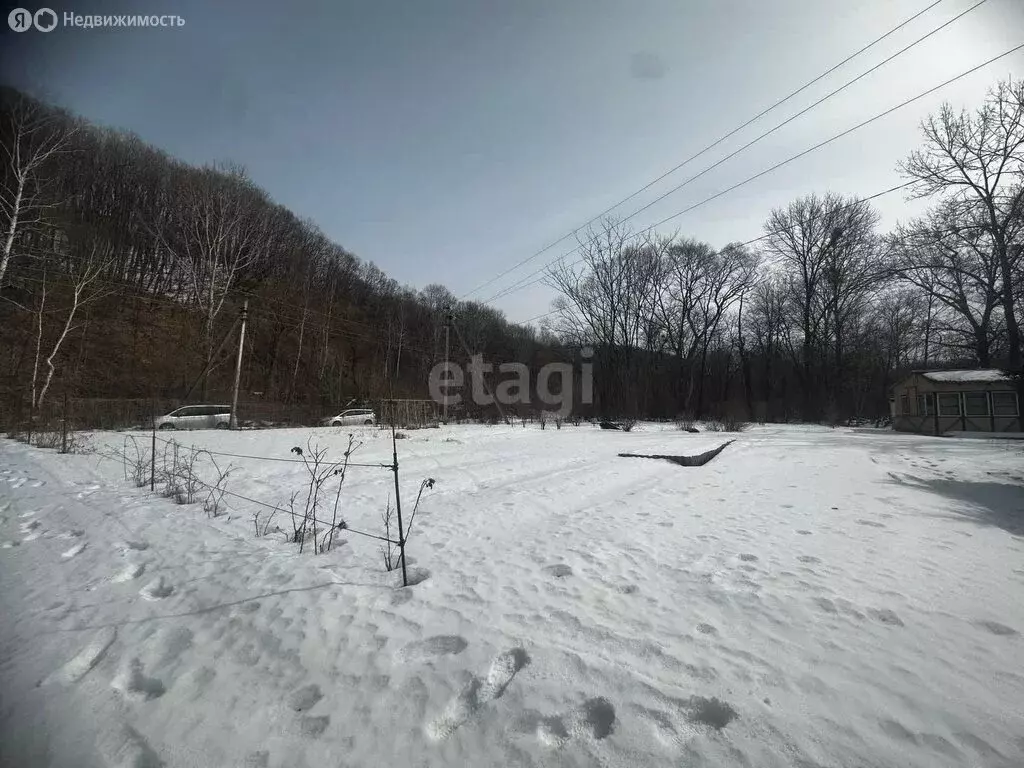 Дом в Арсеньев, Советская улица (20 м) - Фото 1