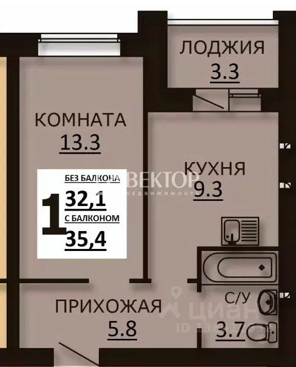 1-к кв. Ивановская область, Ивановский муниципальный округ, д. ... - Фото 2