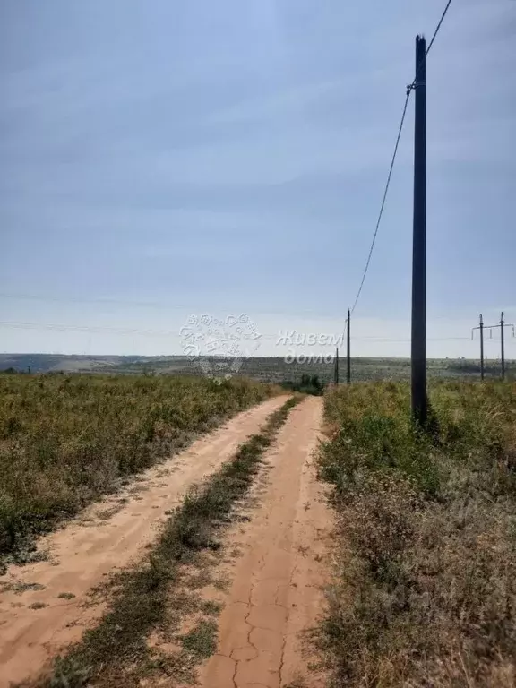 Участок в Волгоградская область, Городищенский район, Царицынское ... - Фото 0