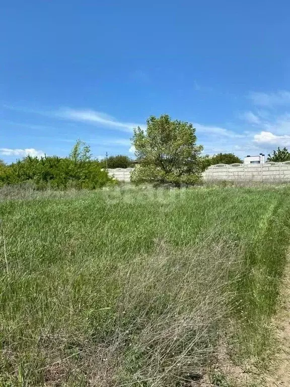 участок в ростовская область, ростов-на-дону огородник онт, ул. 3-я . - Фото 0