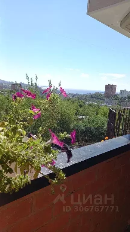 Комната Приморский край, Владивосток ул. Давыдова, 35 - Фото 2