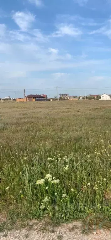 Участок в Крым, Сакский район, Молочненское с/пос, с. Витино ул. ... - Фото 0