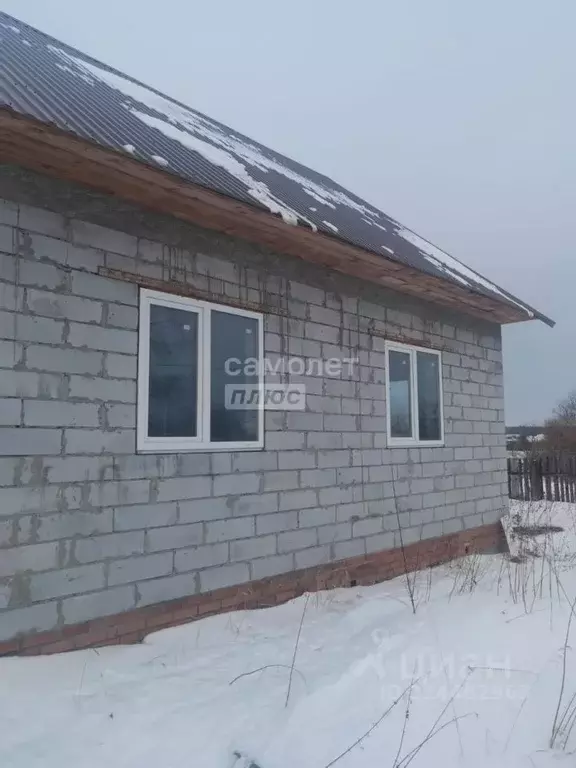 Дом в Тюменская область, Нижнетавдинский район, с. Велижаны ул. ... - Фото 1