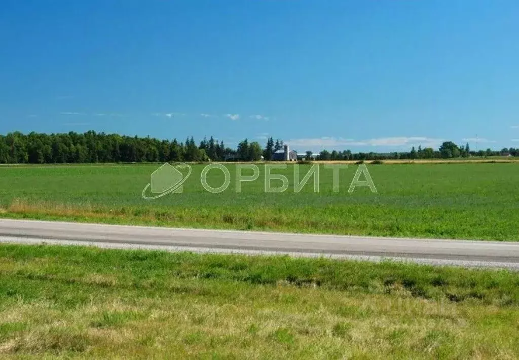 Участок в Тюменская область, Тюменский район, д. Марай  (9.85 сот.) - Фото 0