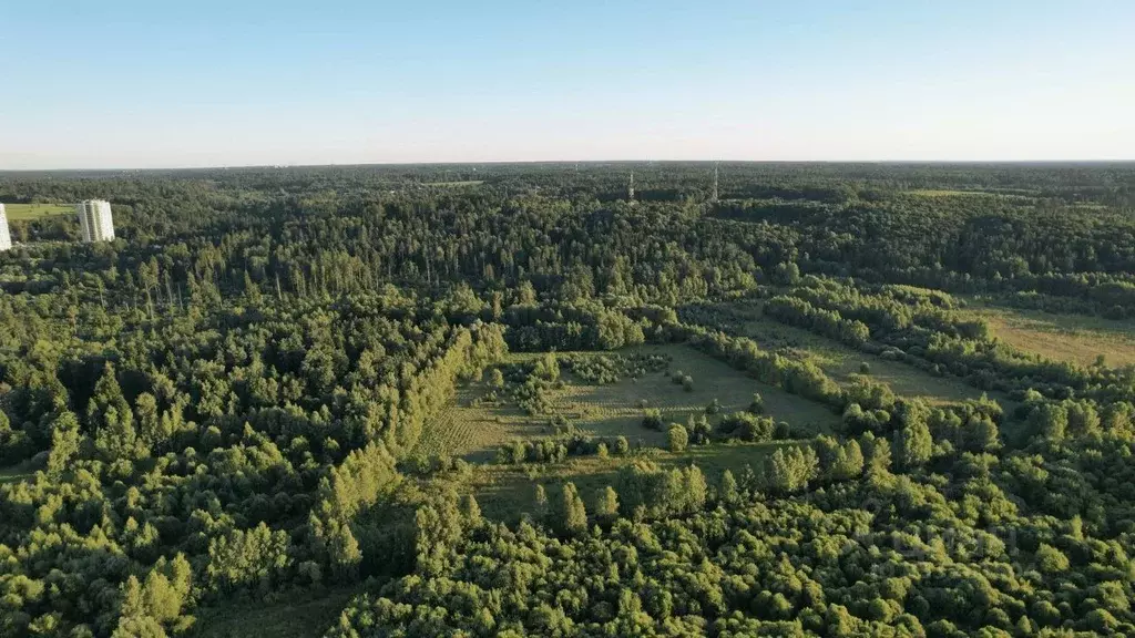 Участок в Московская область, Звенигород Одинцовский городской округ, ... - Фото 1