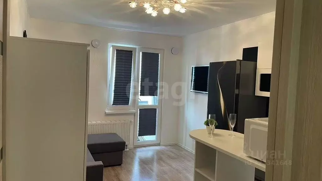 Студия Санкт-Петербург наб. Реки Каменки, 19к3 (20.8 м) - Фото 1