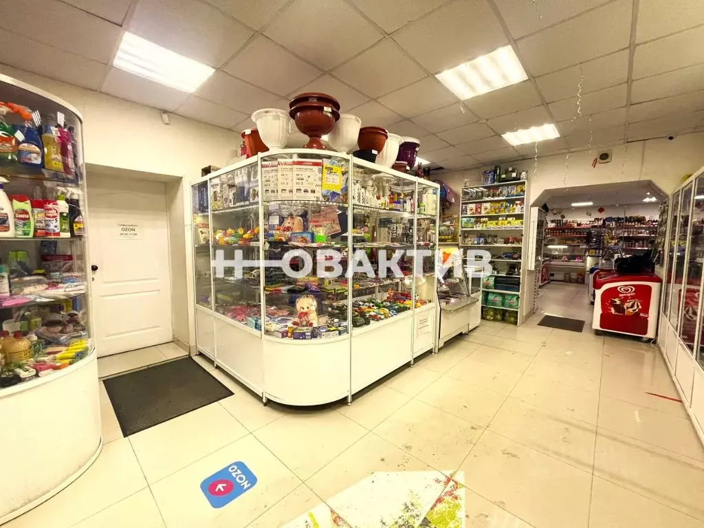 Помещение свободного назначения в Новосибирская область, Новосибирск ... - Фото 1