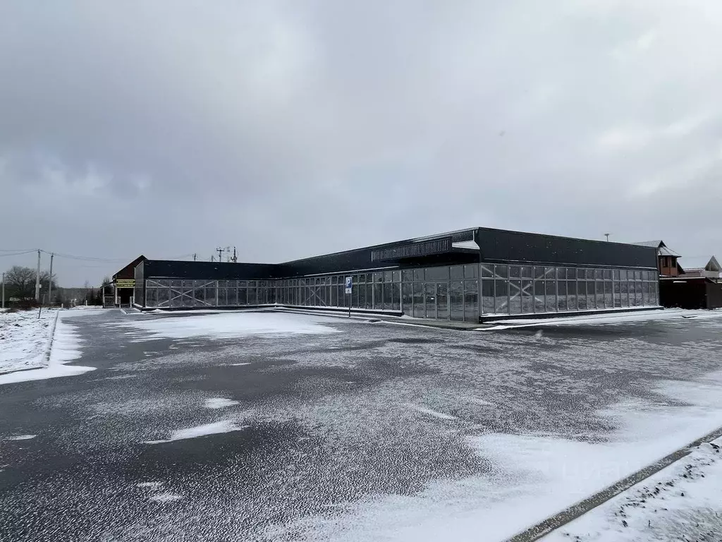 Торговая площадь в Московская область, Ступино городской округ, д. ... - Фото 2