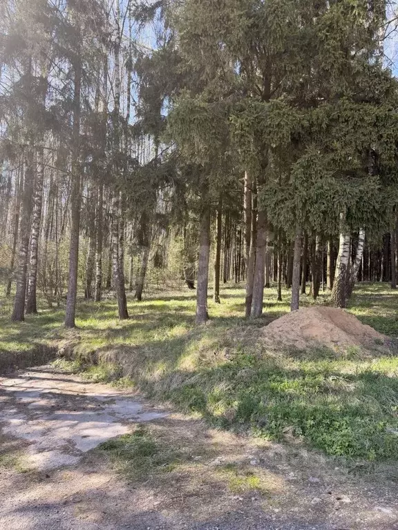 Участок в Московская область, Дмитровский муниципальный округ, ... - Фото 0