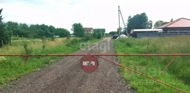 участок в калининградская область, гурьевский муниципальный округ, . - Фото 1