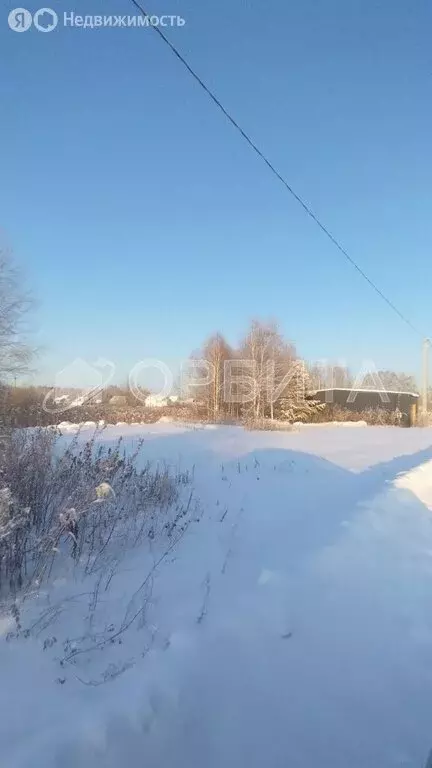 Участок в Тюмень, территория СОСН Изыскатель (9 м) - Фото 2