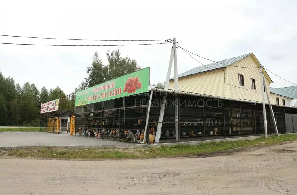 Участок в Тюменская область, Нижнетавдинский муниципальный округ, ... - Фото 2