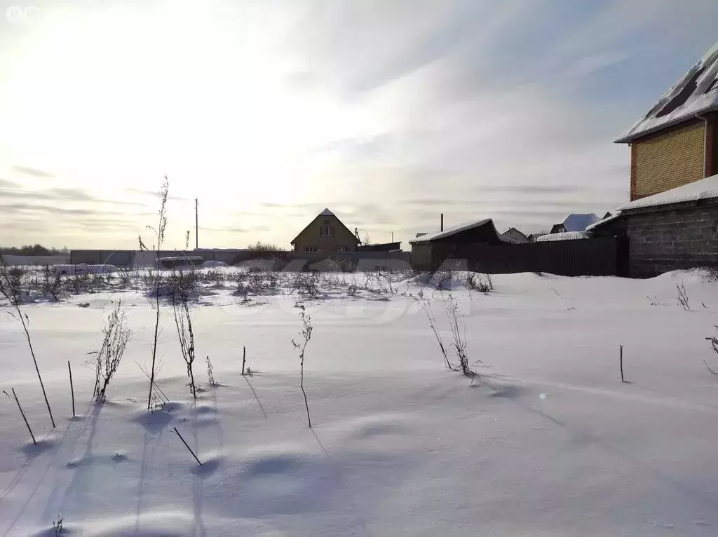 Участок в Тюменский муниципальный округ, село Червишево (12.7 м) - Фото 1