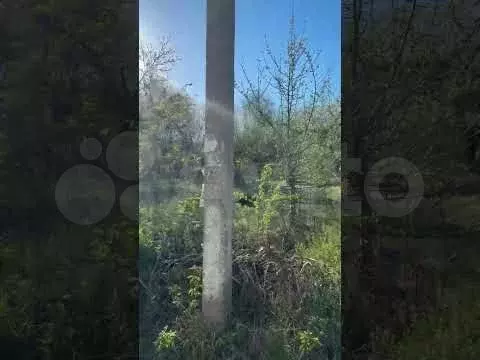 Участок 5 сот. (СНТ, ДНП) - Фото 1
