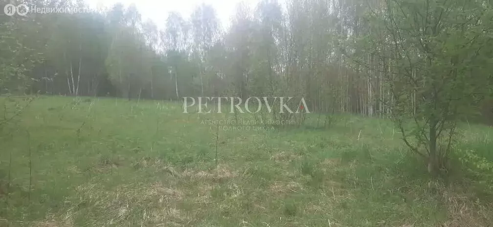 Участок в Московская область, Можайский муниципальный округ, ТСН ... - Фото 2