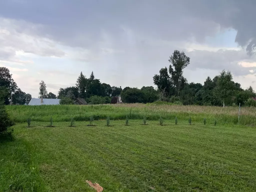 Дом в Брянская область, Выгоничский район, Утынское с/пос, с. Уручье ... - Фото 2