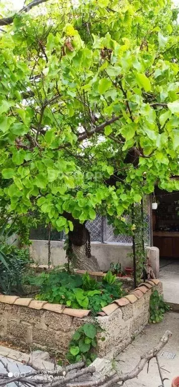 Дом в Феодосия, Суворовская улица, 7 (350 м) - Фото 1