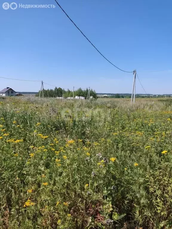 Участок в Пензенский район, Богословский сельсовет, село Богословка (8 ... - Фото 0