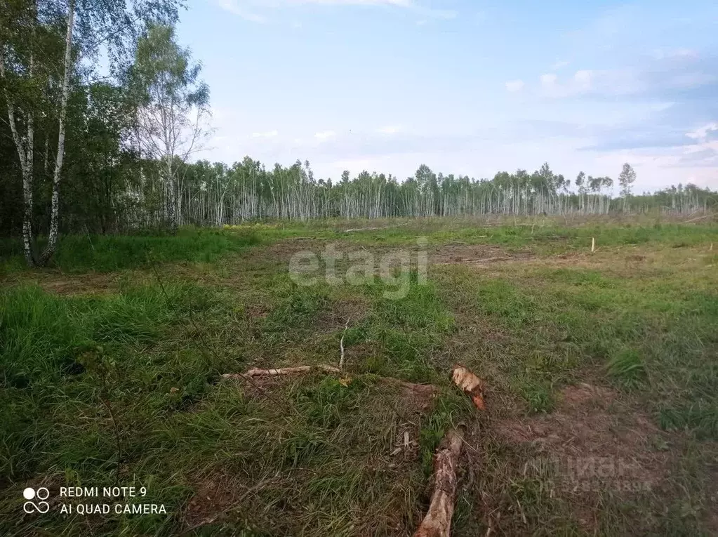 Участок в Калужская область, Тарусский муниципальный округ, Некрасово ... - Фото 2