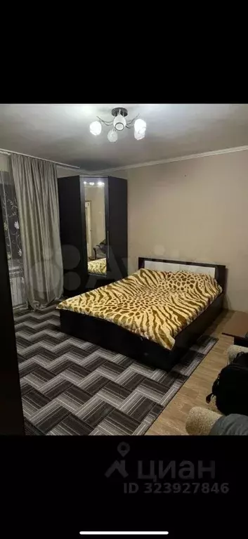 1-к кв. Рязанская область, Спасский муниципальный округ, с. Собчаково ... - Фото 1