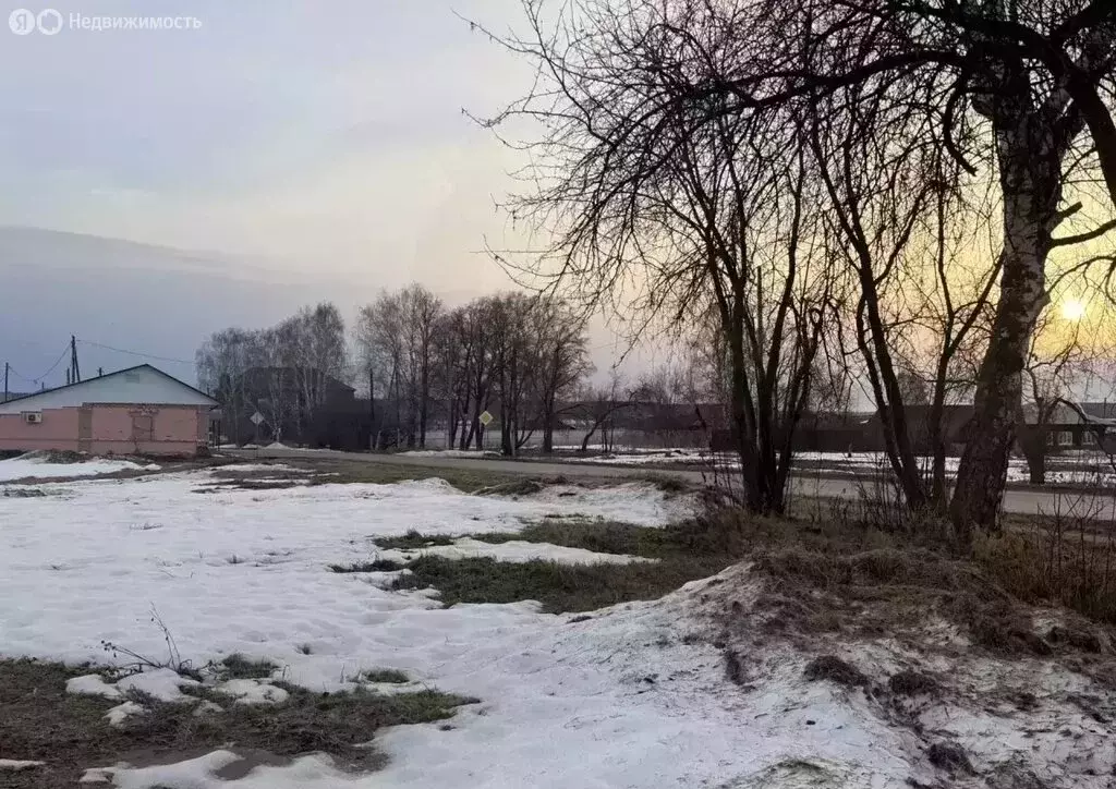 Участок в село Невьянское, Советская улица (19.6 м) - Фото 2