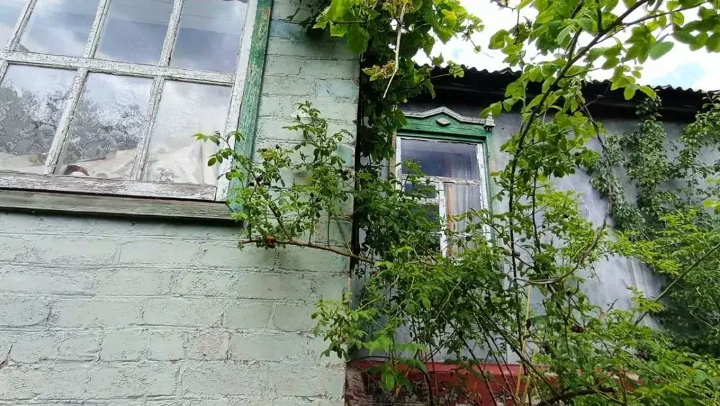 Дом в Ростовская область, Белая Калитва ул. Щорса (53 м) - Фото 0