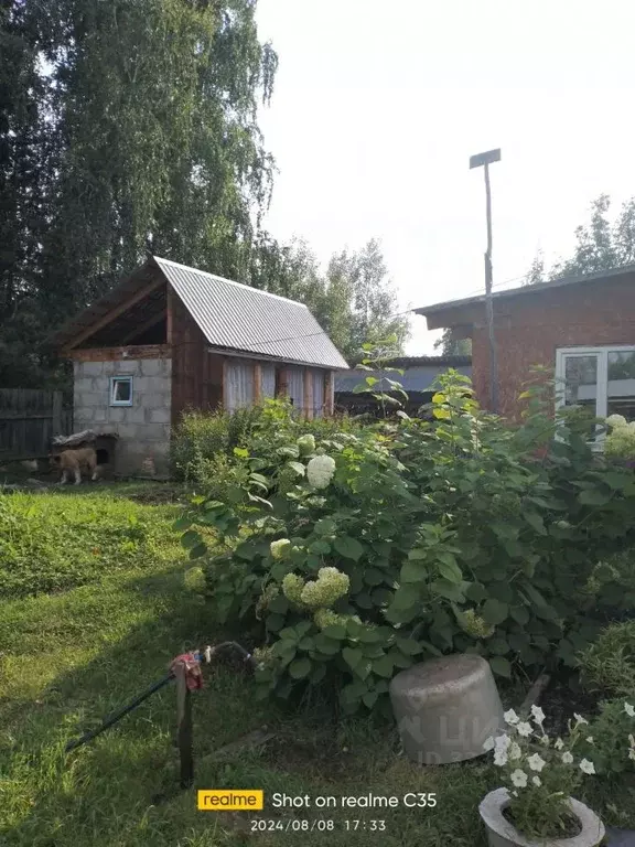 Дом в Алтай, Майминский район, Соузгинское с/пос, пос. Черемшанка ул. ... - Фото 1