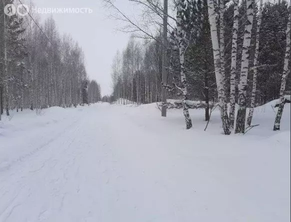 Участок в село Морозово, Солнечная улица, 10 (15 м) - Фото 1