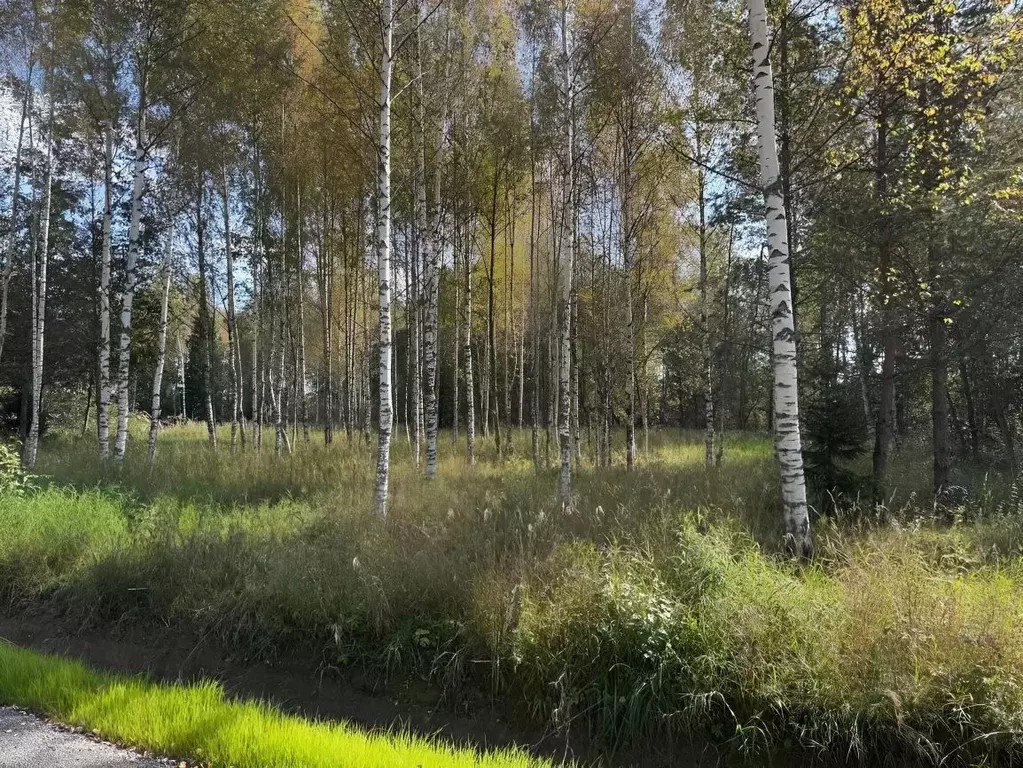 Участок в Ленинградская область, Всеволожский район, Колтушское ... - Фото 1