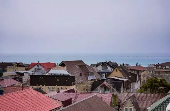1-к кв. Краснодарский край, Сочи Адлер жилрайон, ул. Чкалова, 13 (20.0 ... - Фото 1