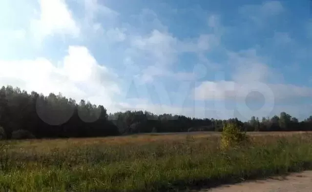 Участок 2,8 га (СНТ, ДНП) - Фото 1